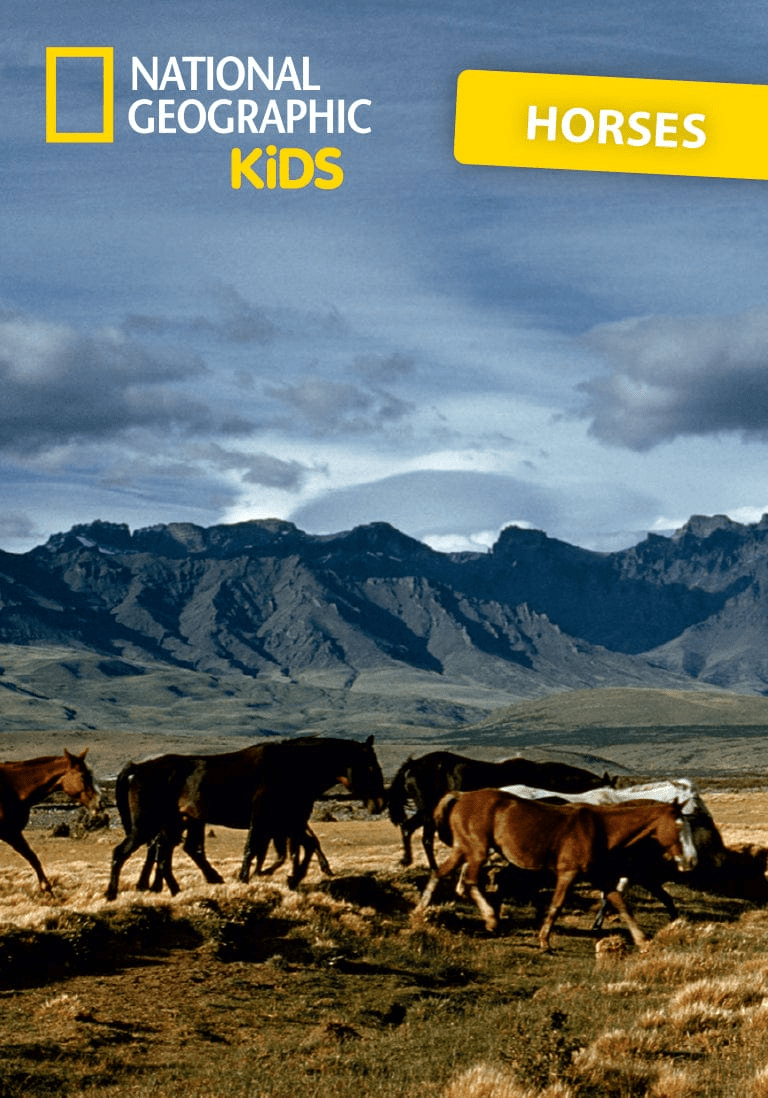 National Geographic Kids: Horse Tonie - Image 2