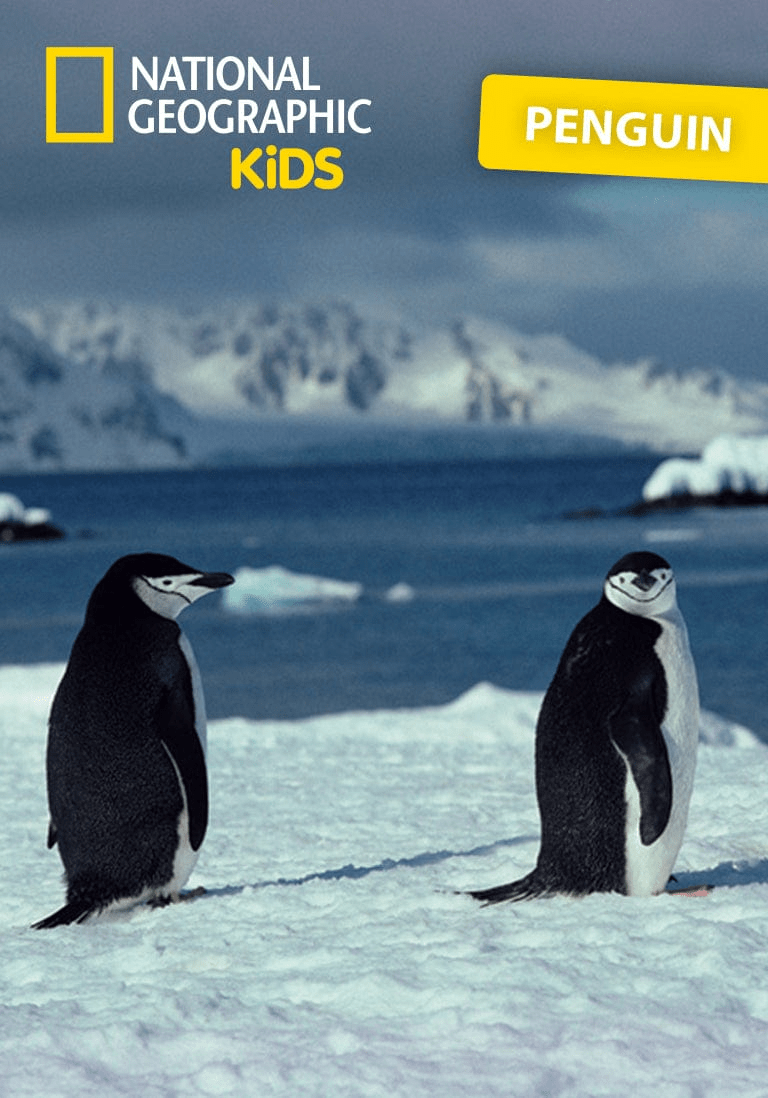 National Geographic Kids: Penguin Tonie - Image 2