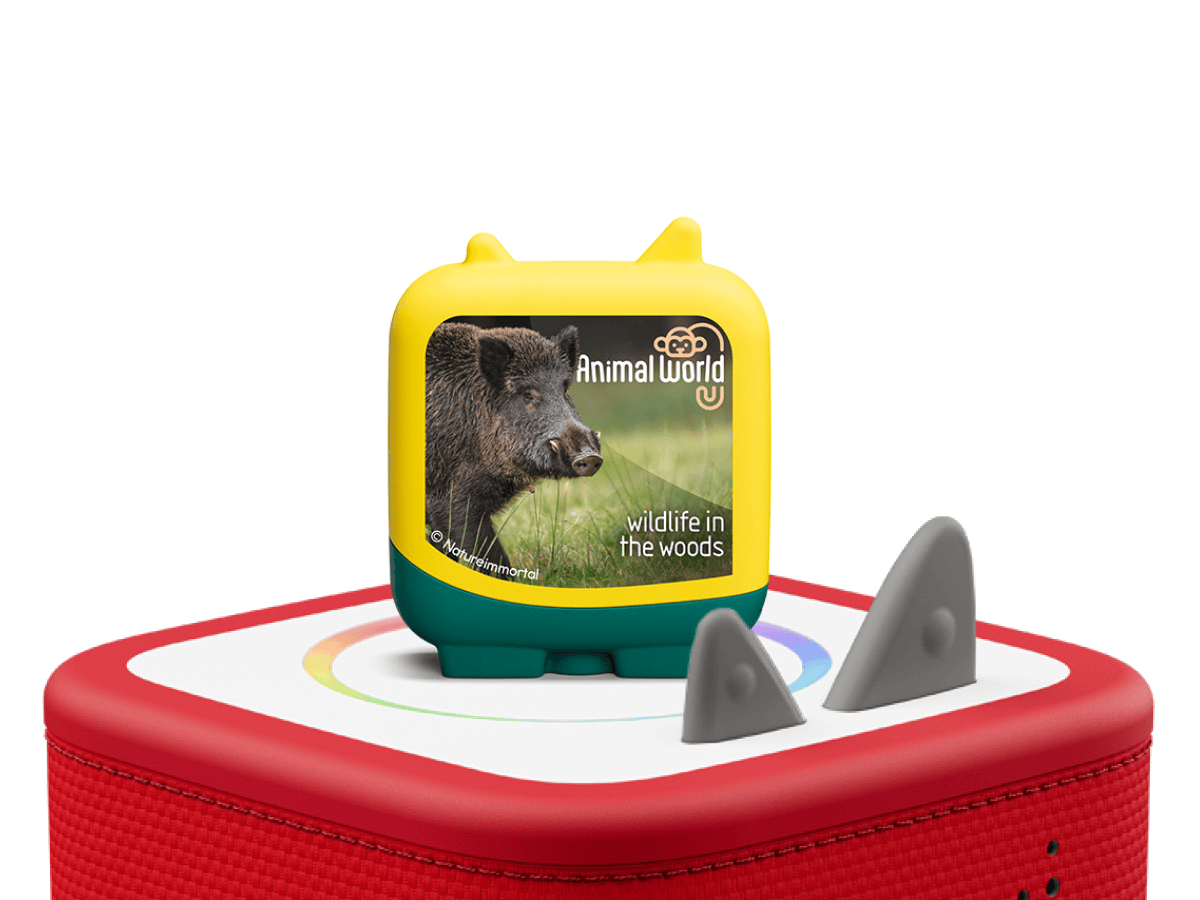 Animal World Wildlife in the Woods Clever Tonies - 4 Pack - Image 4