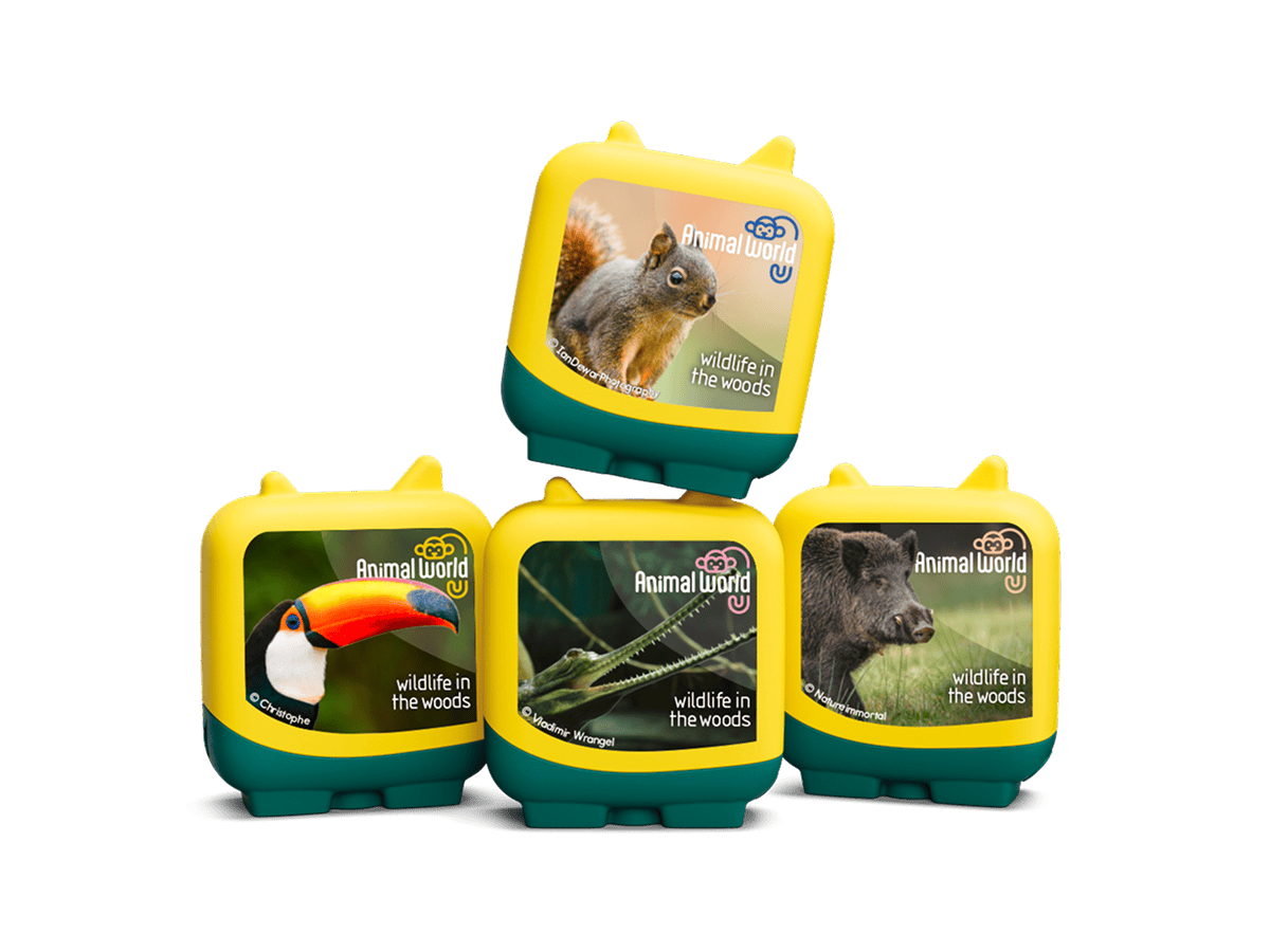 Animal World Wildlife in the Woods Clever Tonies - 4 Pack - Image 10